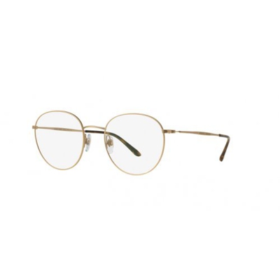 Giorgio Armani - FRAMES OF LIFE AR 5057, Redondo, acero, hombre, MATTE PALE GOLD(3002), 47/19/145