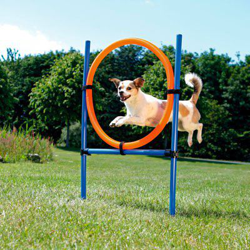 Trixie Aro de agility para perros características