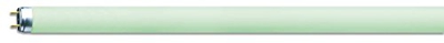 Ledvance L1866L 18W/66 FLH1 Osram