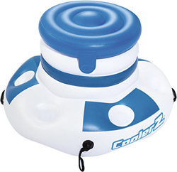 Bestway 43117 precio