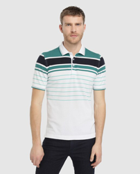 Alan Paine - Polo Piqué De Algodón Pima De Hombre Classic De Rayas Y Manga Corta características