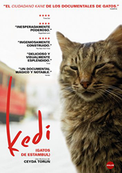 Kedi (Gatos de Estambul) - DVD características