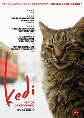 Kedi (Gatos de Estambul) - DVD