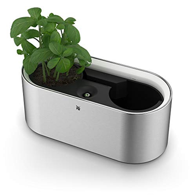 Maceta WMF Ambient Herbs