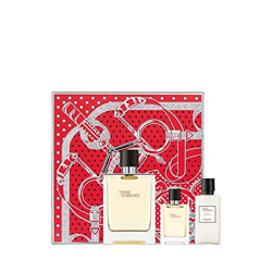 Cofre Terre D'hermès precio