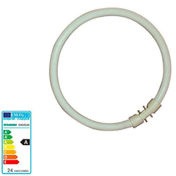 Bomb. fluoresc. circ. 2GX13 T5 22W, blanco-cálido en oferta