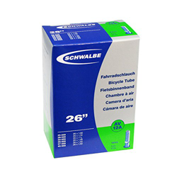 Schwalbe AV 12A características