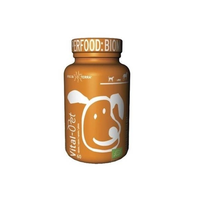 Sensilis - Barra De Labios Intense Matte