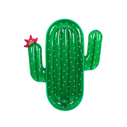 Sunnylife - Colchoneta Hinchable Cactus características