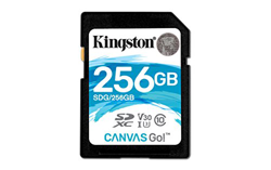 Kingston Canvas Go! SDXC 256GB precio