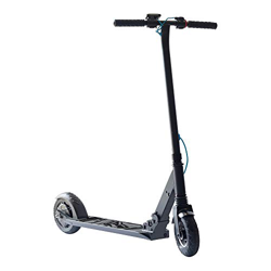 PATINETE ELECTRICO  SMARTGYRO XTREME XD 250W NEGRO 10KG 100 KG características