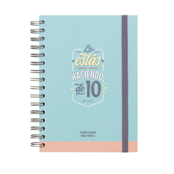 Mr. Wonderful - Planificador Para Profes : Lo Estás Haciendo De 10 precio