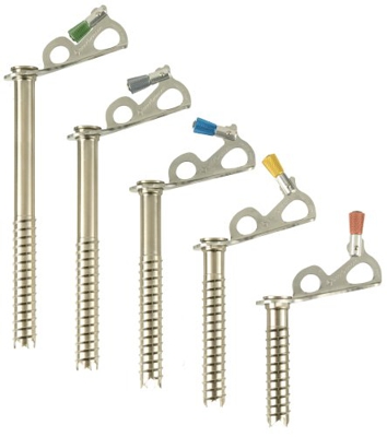 Black Diamond Express Ice Screw (19 cm)