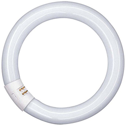 Osram L 40W/865 C precio