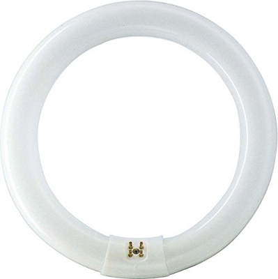 Aro fluor. G10q 22W 865 Master Circular TL-E