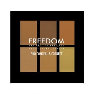 Pro Artist Pro Conceal Palette Medium/Dark #99693B