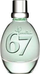 Pomellato 67 Artemisia Eau de Toilette (50 ml) características