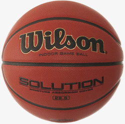 Wilson Evolution Game Basketball precio