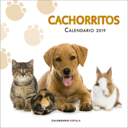 Calendario cachorritos 2019 características