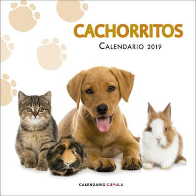 Calendario cachorritos 2019