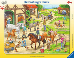 Ravensburger 06164 características