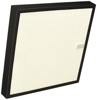 De'Longhi Filtro para AC 100