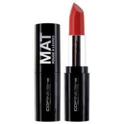 Labial Mate Rouge À Lèvres Copines Line 05 Vermillon #A31917 en oferta