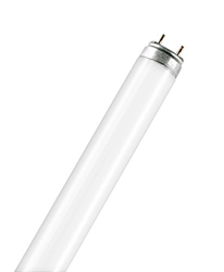 Bombilla fluorescente Fluora plantas T8 G13 18W precio