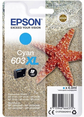 Epson C13T03A24010