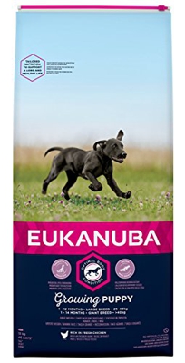 Eukanuba Growing Puppy razas grandes - Pack % - 2 x 15 kg