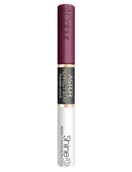 Perfect Stay 16H Transfer Proof Lip Color 230 Forever Plum #9A697f características