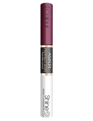 Perfect Stay 16H Transfer Proof Lip Color 230 Forever Plum #9A697f
