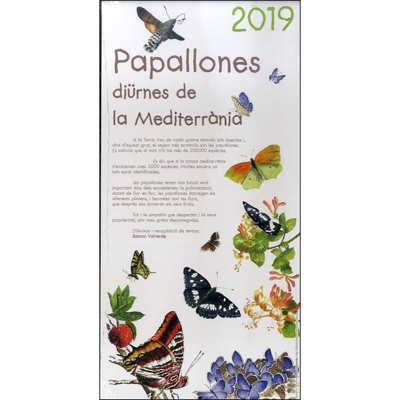 2019 calendari papallones diürnes de lamediterràn
