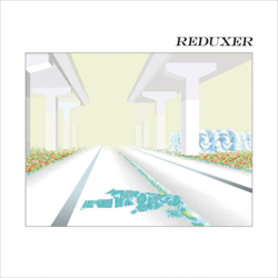 Reduxer (LP-Vinilo) características