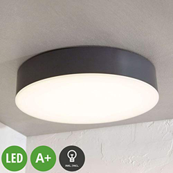 Lámpara LED de techo Lyam, IP65, gris oscuro precio