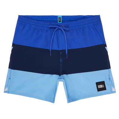 O'Neill Vert-Horizon Boardshorts azul