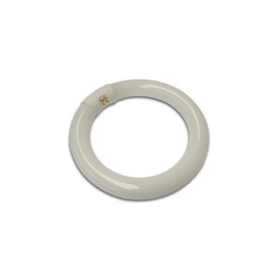 Lámpara / Bombilla fluorescente Velleman LAMP22