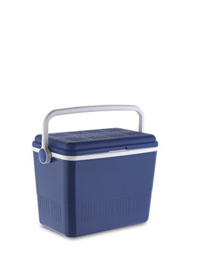 Nevera Verano 42l. 40017/40043/14400/75006 - Disnature