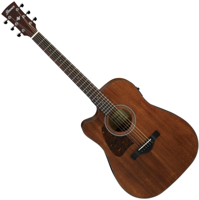Ibanez AW54LCE