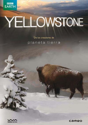 Yellowstone - DVD