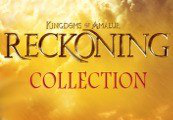 Kingdoms of Amalur: Reckoning - Collection Steam Gift características