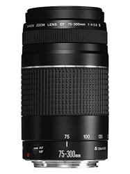 Canon EF 75-300mm f/4-5.6 III Objetivo para Canon (zoom óptico 4x,diámetro: 58mm), color negro en oferta