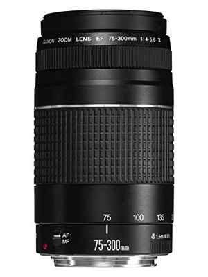 Canon EF 75-300mm f/4-5.6 III Objetivo para Canon (zoom óptico 4x,diámetro: 58mm), color negro