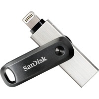 SDIX60N-256G-GN6NE unidad flash USB 256 GB 3.0 (3.1 Gen 1) Gris, Plata, Lápiz USB