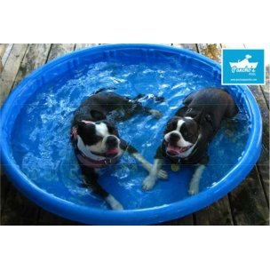 Piscina para Perros Pequeña (90X90X18)