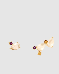 Imagen de Citric-Petite-Goldohrringe al mejor precio Citric-Petite-Goldohrringe en oferta