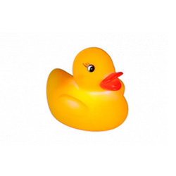 Squeaking Duck en oferta