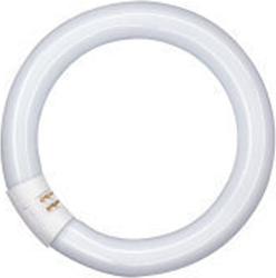 OSRAM L 22w-840 C G10q características