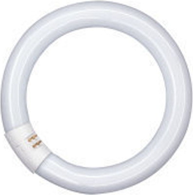 OSRAM L 22w-840 C G10q