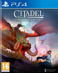 Citadel: Forged With Fire características